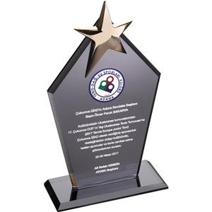 EKT-170-FM Kristal Plaket